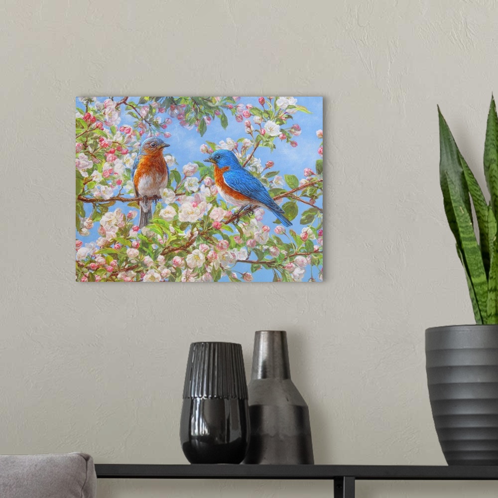 A modern room featuring Blossom Festival - Eastern Bluebirds