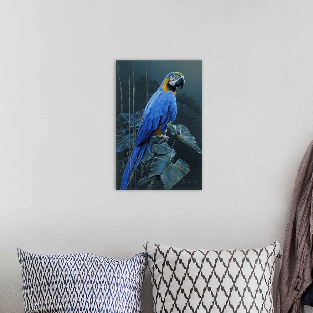 A bohemian room featuring Blue And Gold Macaw