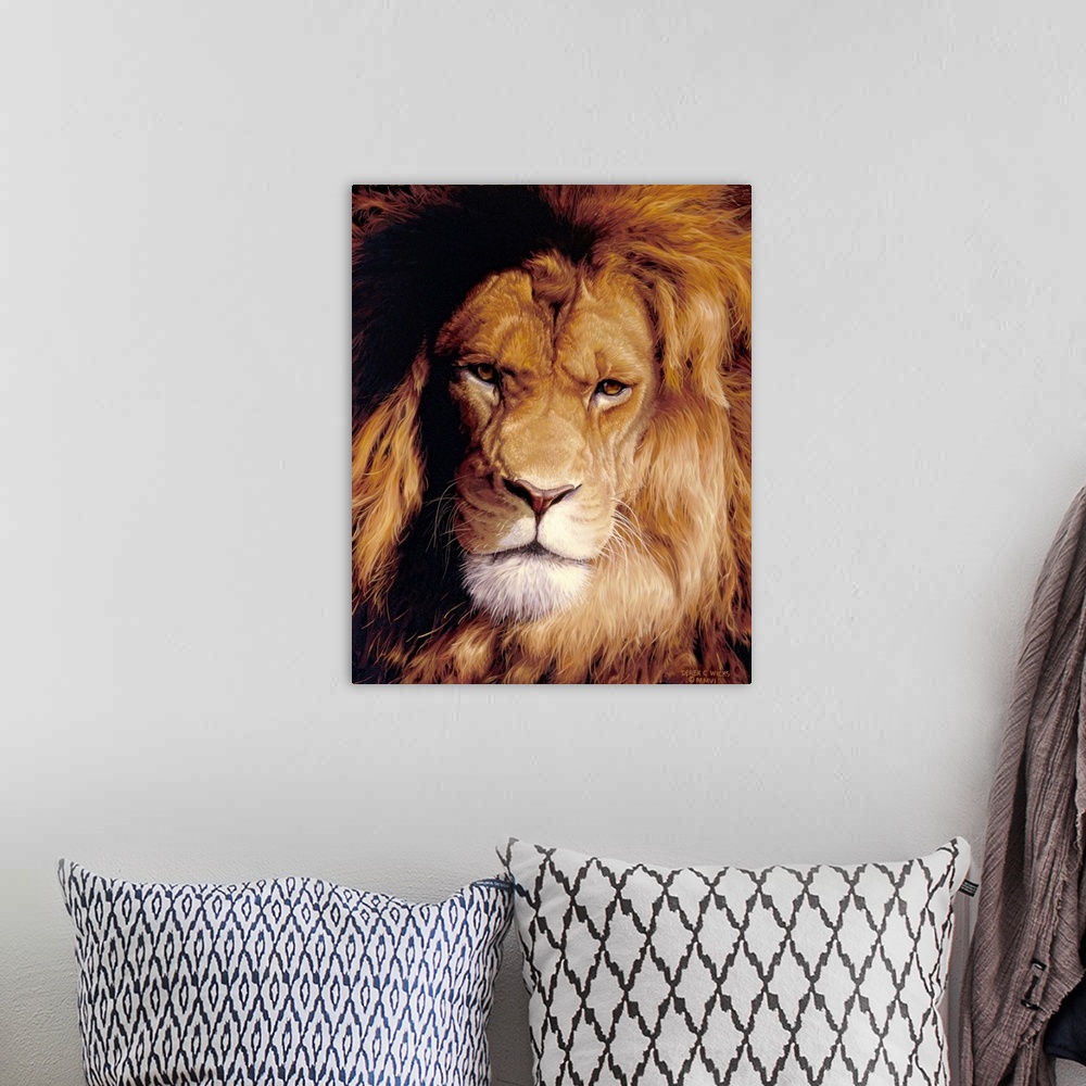 A bohemian room featuring Up close photograph of African lion's face and mane.