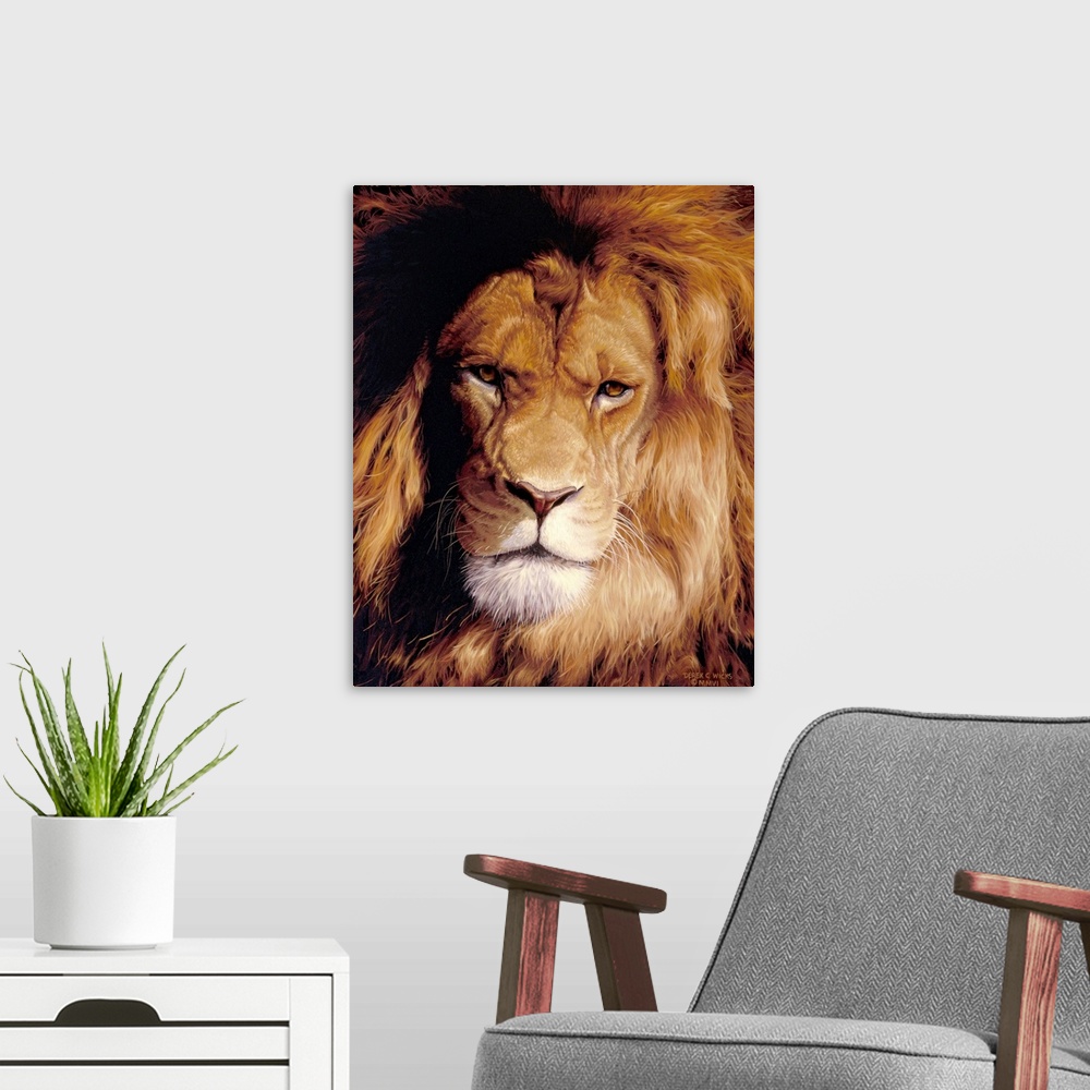 A modern room featuring Up close photograph of African lion's face and mane.