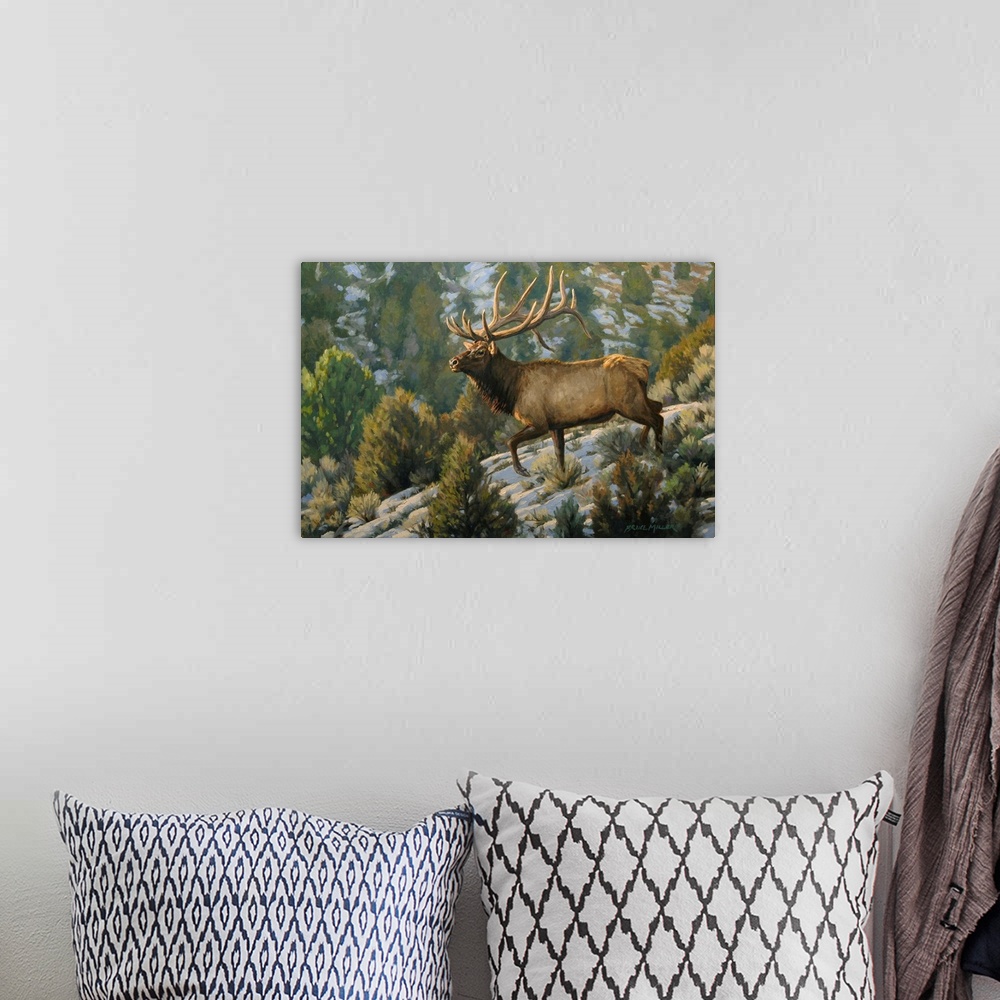 A bohemian room featuring Brush Country Elk