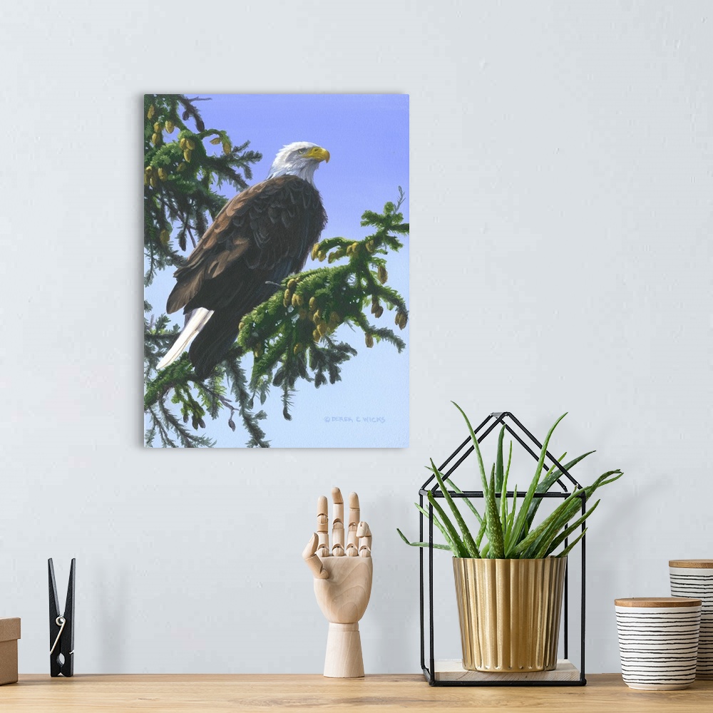 A bohemian room featuring Eagle in Pine