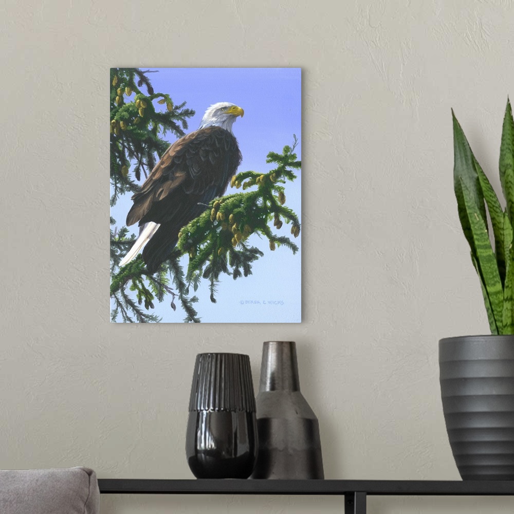 A modern room featuring Eagle in Pine