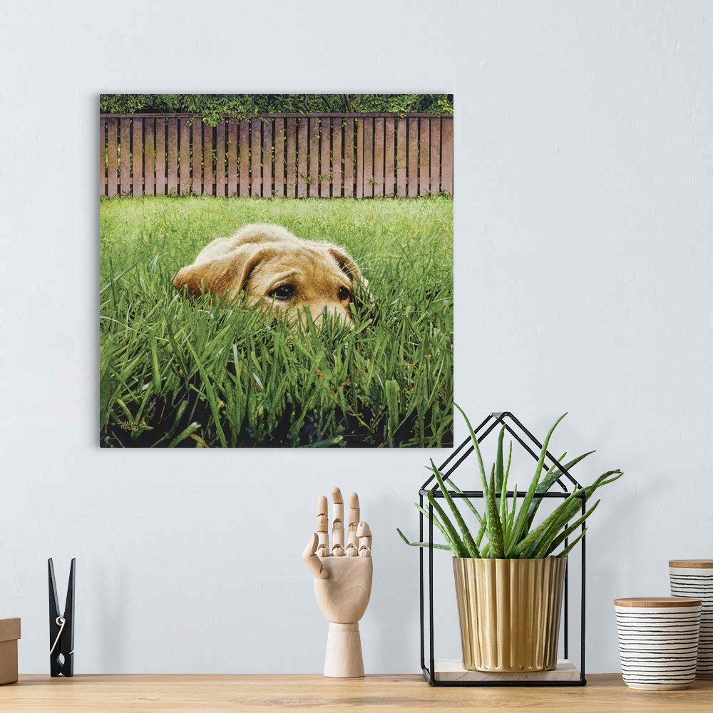 A bohemian room featuring A square image of a yellow lab crouched down among the grass, trying to hide.