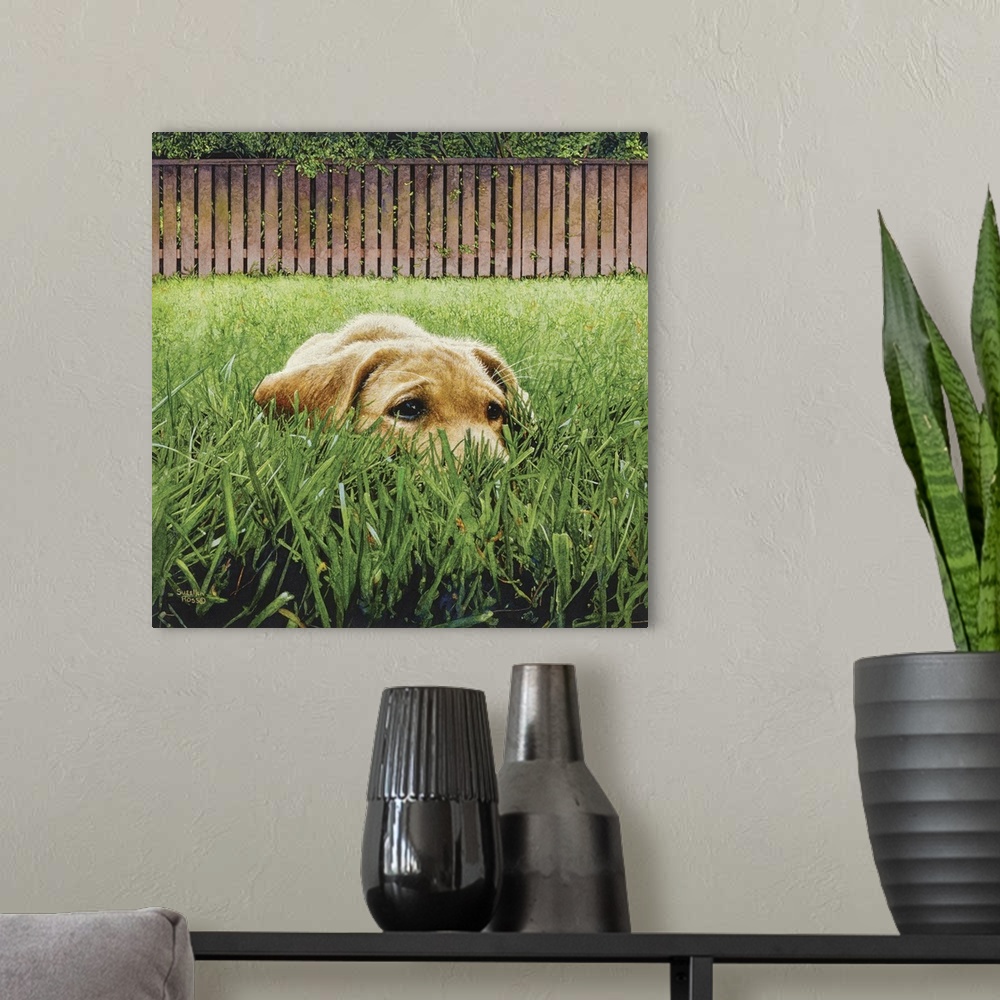 A modern room featuring A square image of a yellow lab crouched down among the grass, trying to hide.