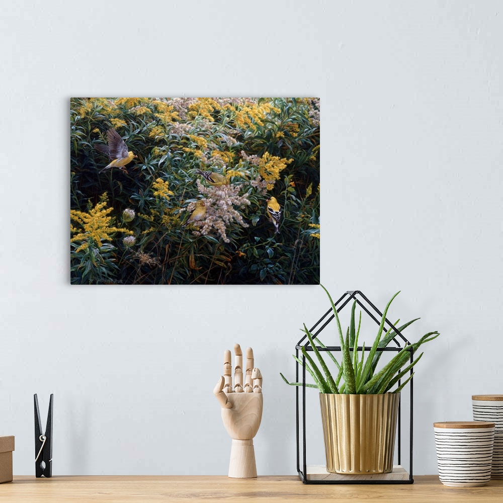 A bohemian room featuring Golden Moment - American Goldfinches