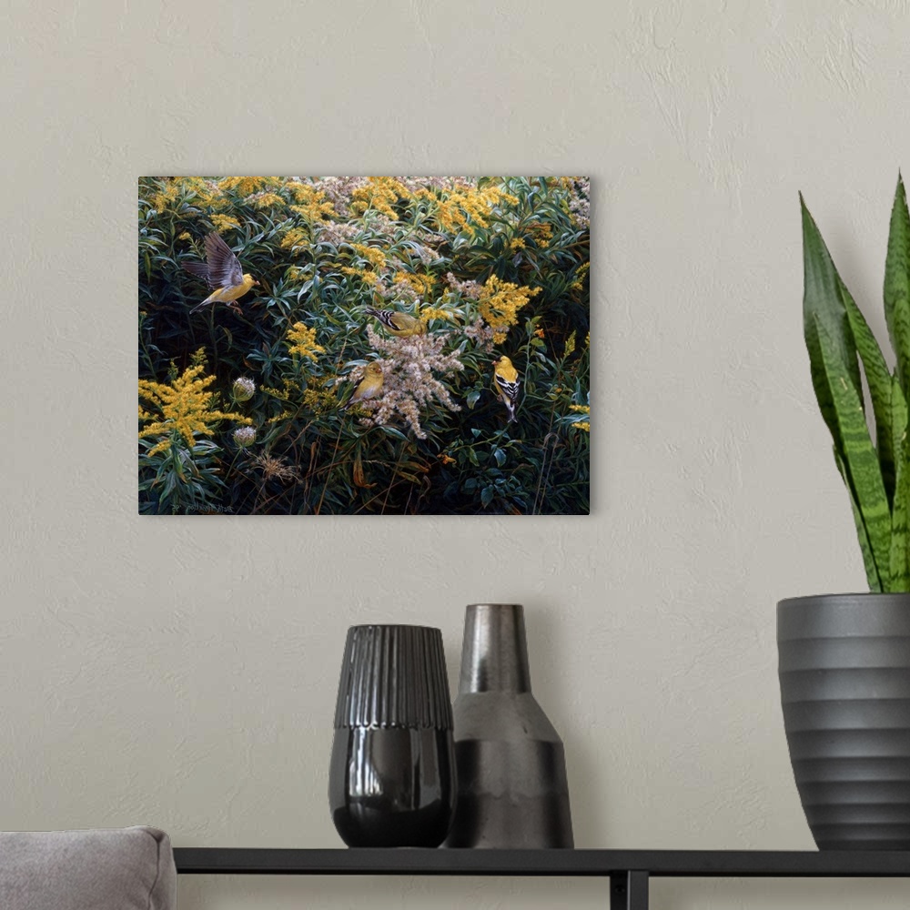 A modern room featuring Golden Moment - American Goldfinches