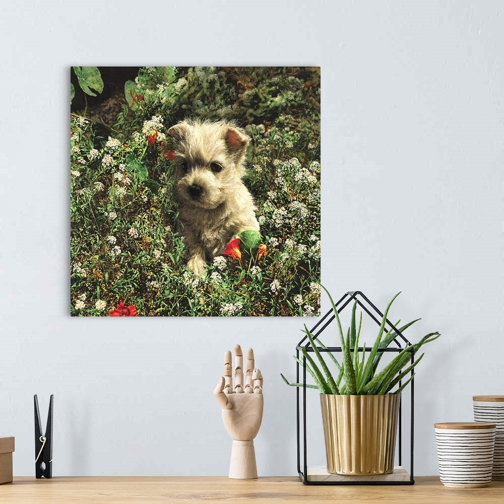 A bohemian room featuring An image of a puppy laying in a bed of wild flowers.