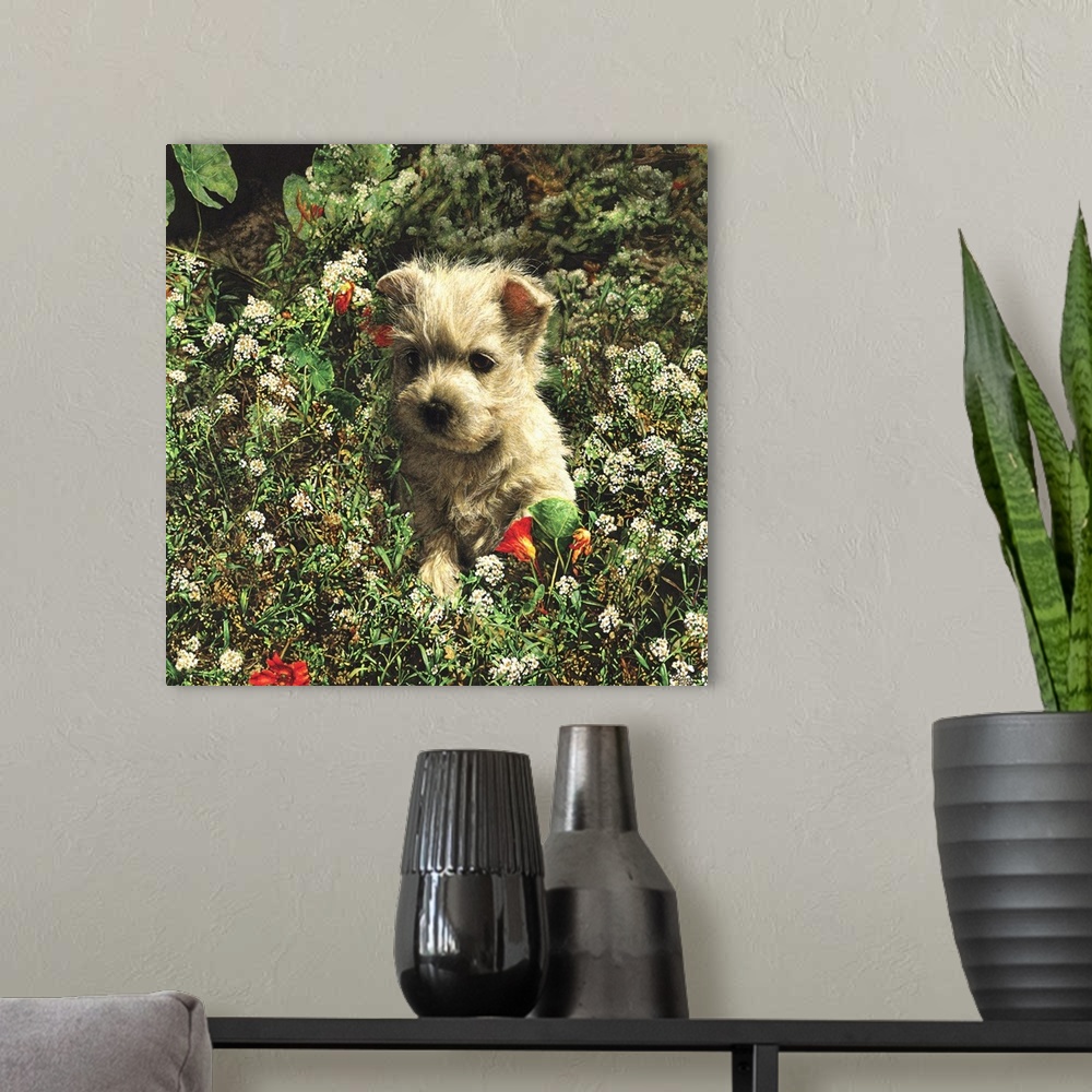 A modern room featuring An image of a puppy laying in a bed of wild flowers.