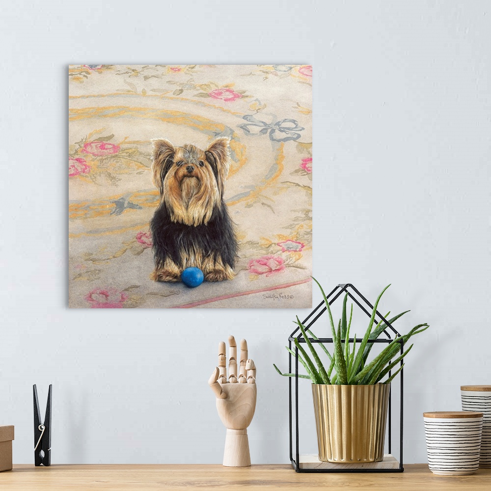 A bohemian room featuring Square image of a Yorkie with a ball waiting patiently to be played with on a floral rug.