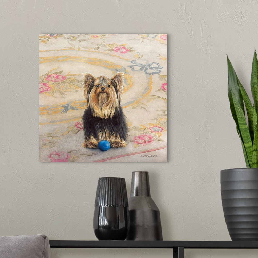 A modern room featuring Square image of a Yorkie with a ball waiting patiently to be played with on a floral rug.