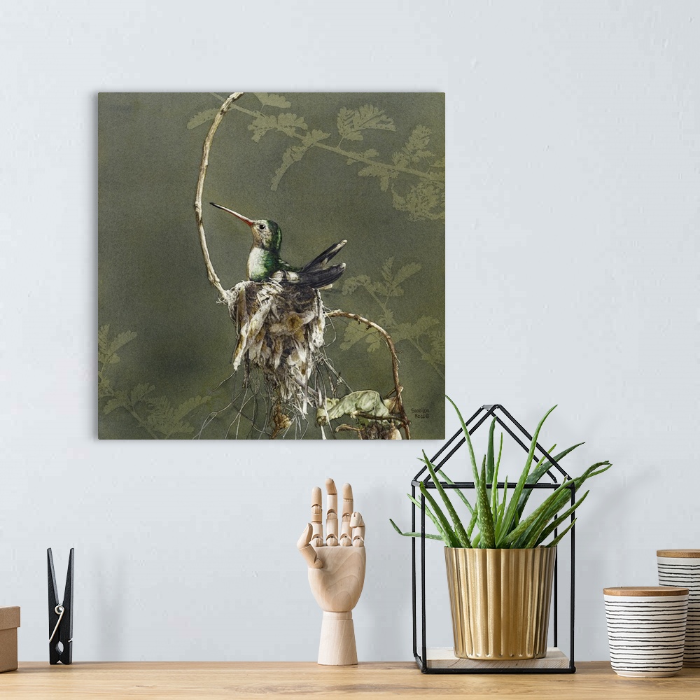 A bohemian room featuring Square image of a bird sitting in her nest on a limb.