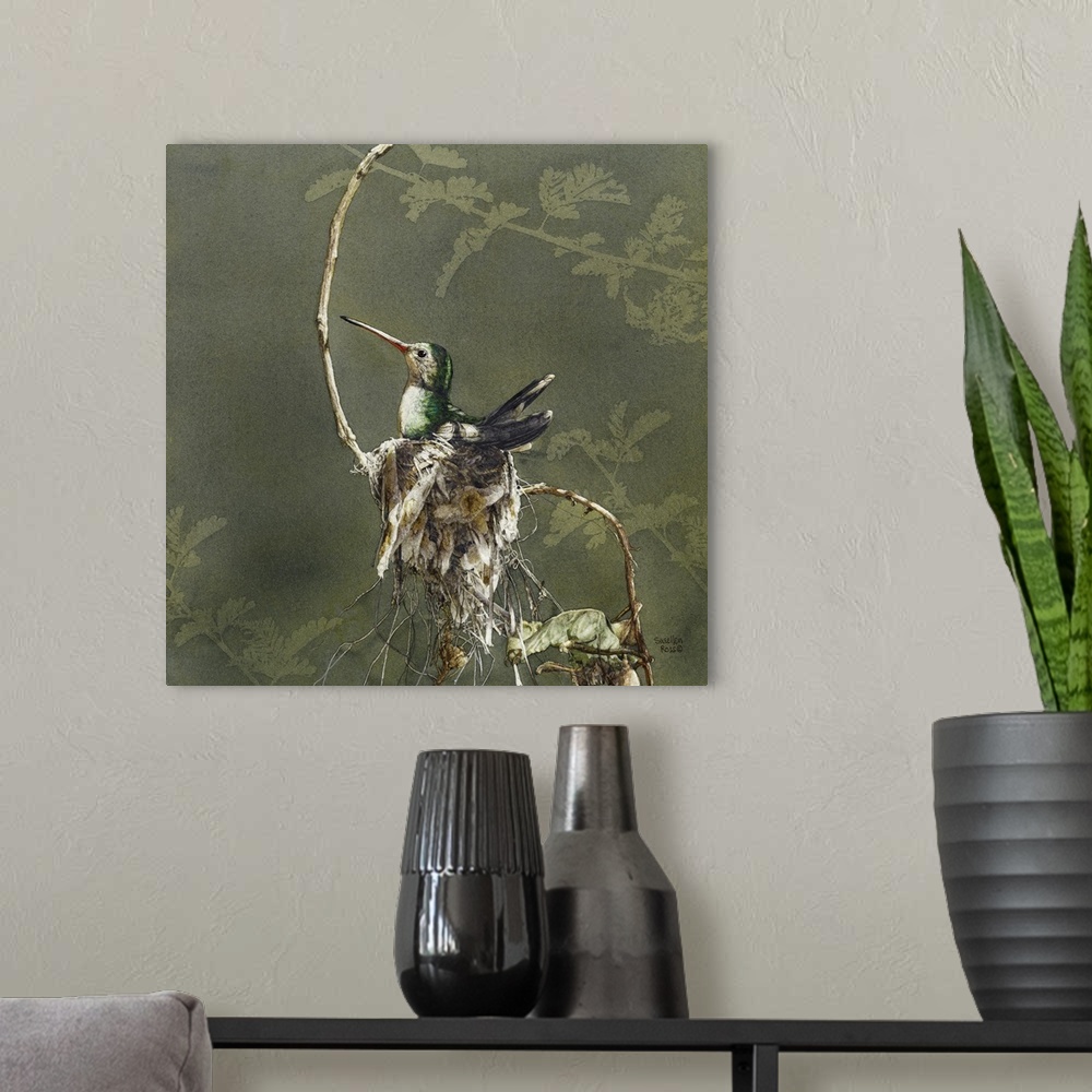 A modern room featuring Square image of a bird sitting in her nest on a limb.