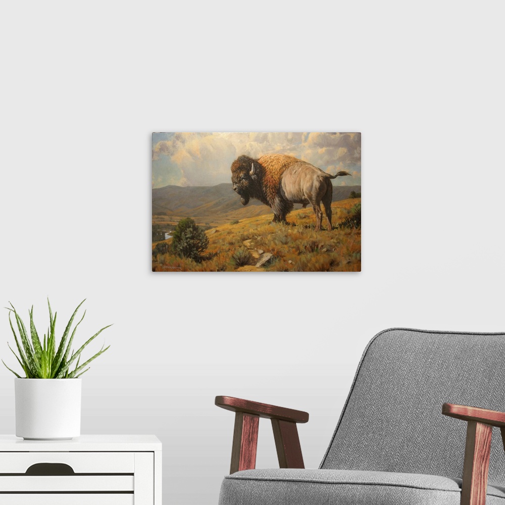 A modern room featuring Lonesome - Bison