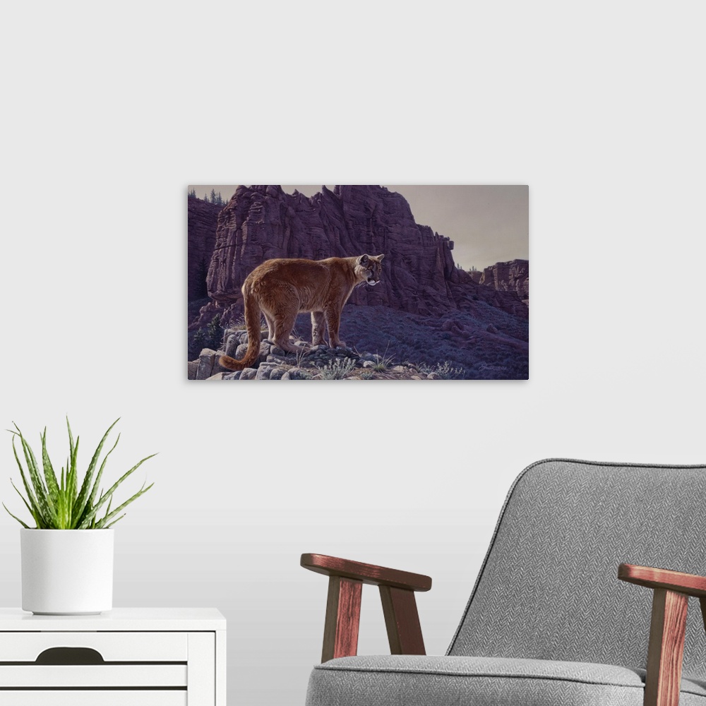 A modern room featuring Mountain Cougar
