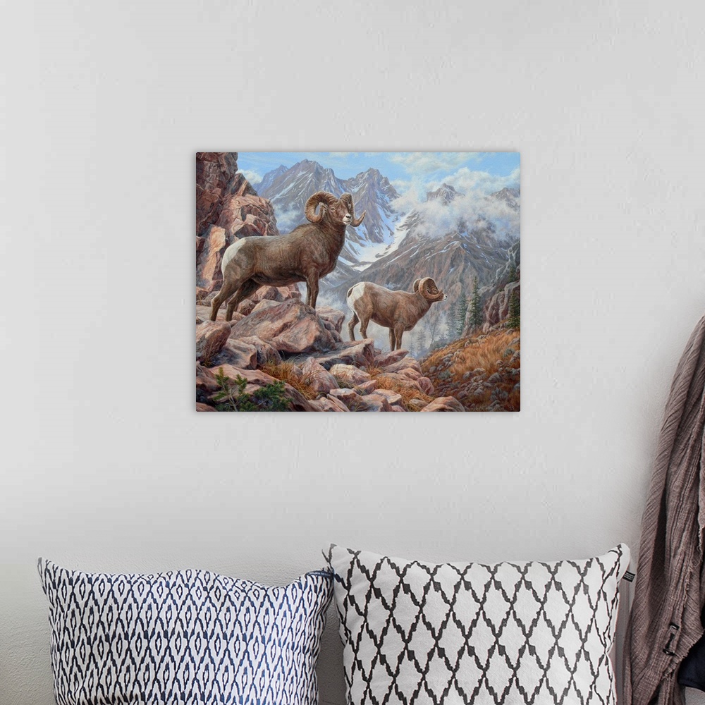 A bohemian room featuring Mountain King - Bighorn Sheep