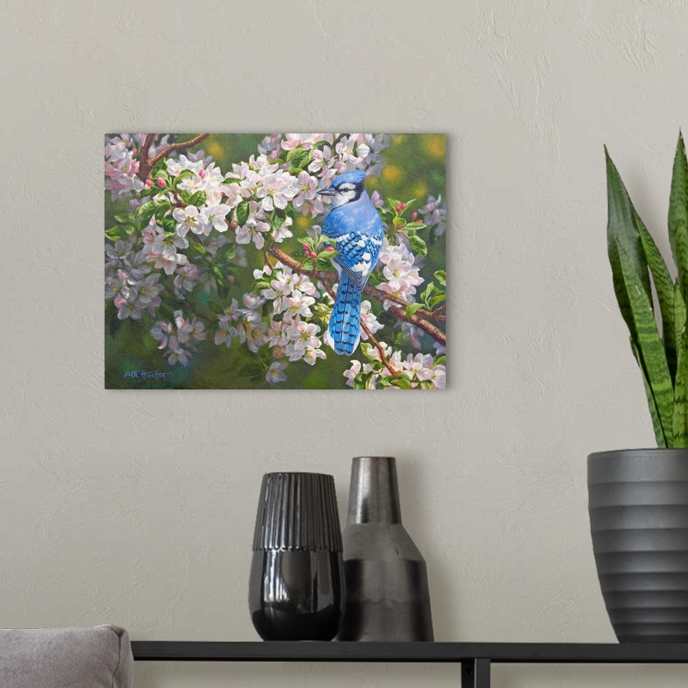 A modern room featuring Orchard Light - Blue Jay In Apple Blossoms