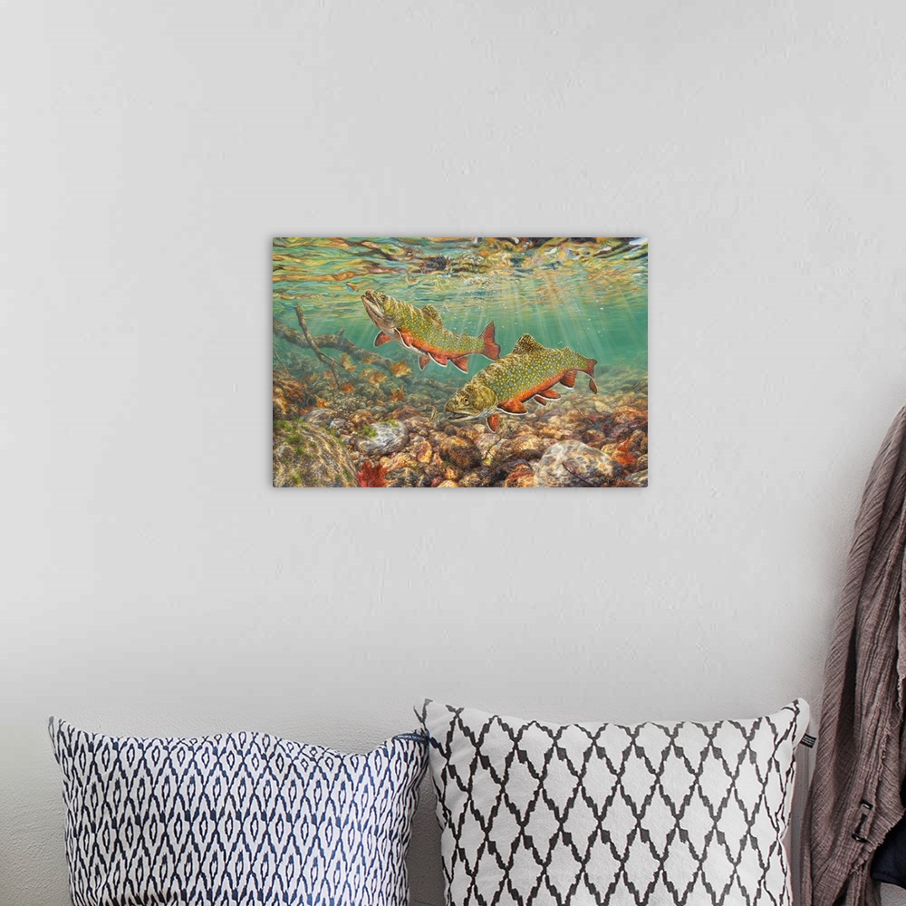 A bohemian room featuring River Light - Brook Trout