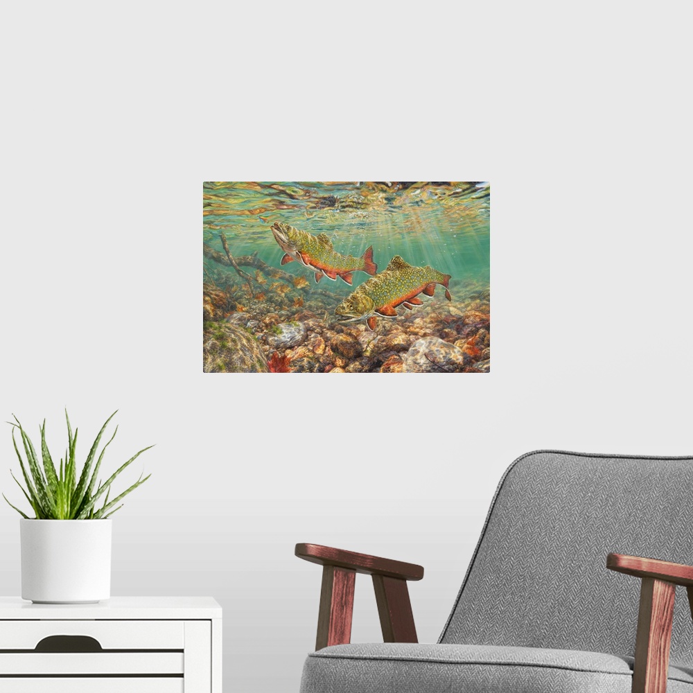 A modern room featuring River Light - Brook Trout