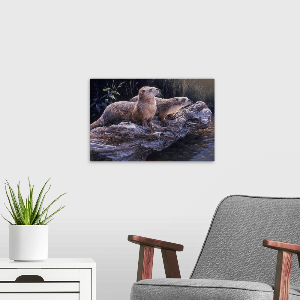 A modern room featuring River Otters