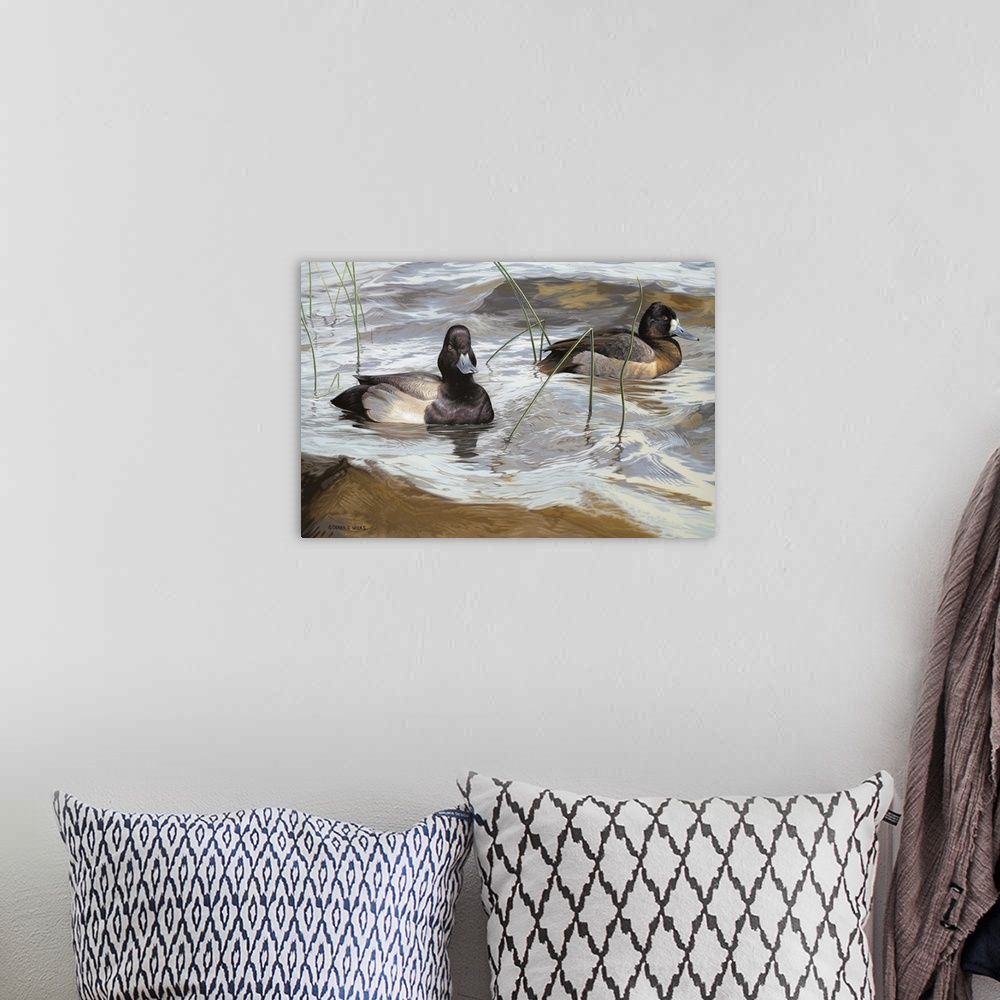 A bohemian room featuring Shallow Surfers - Lesser Scaup