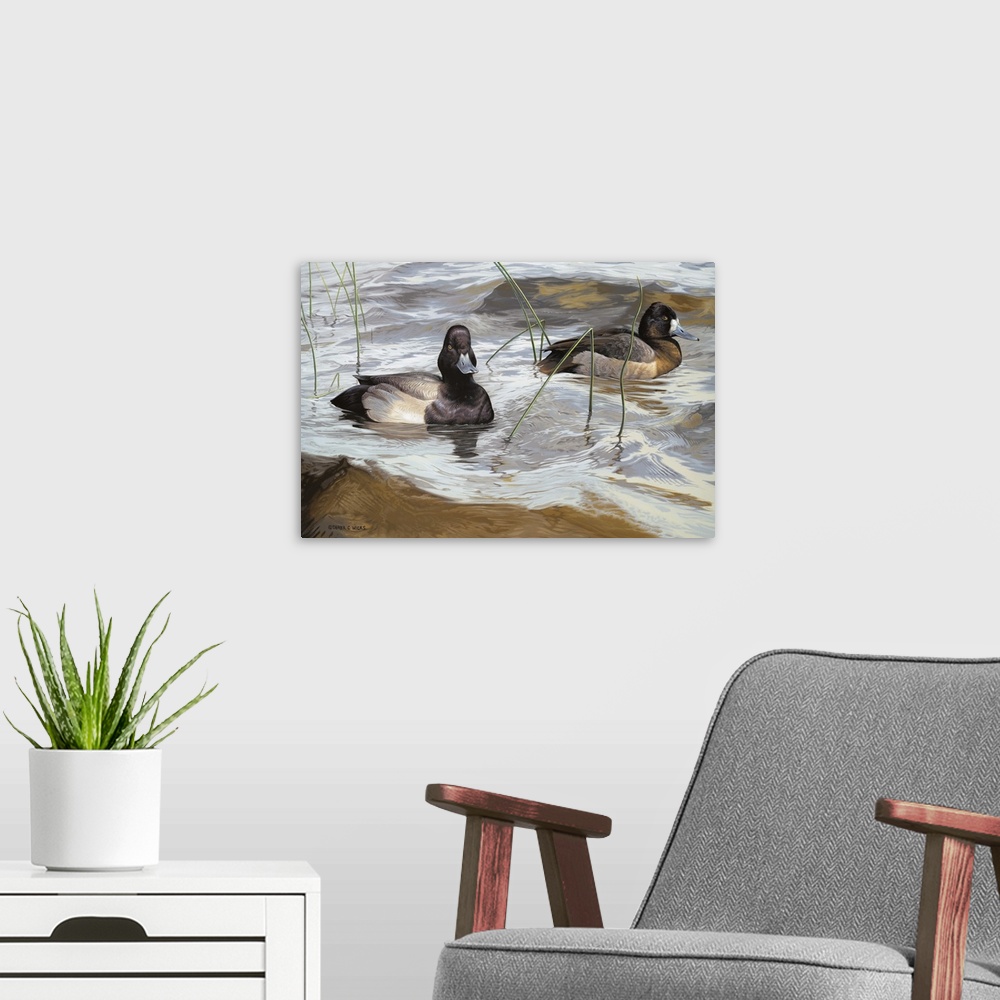 A modern room featuring Shallow Surfers - Lesser Scaup