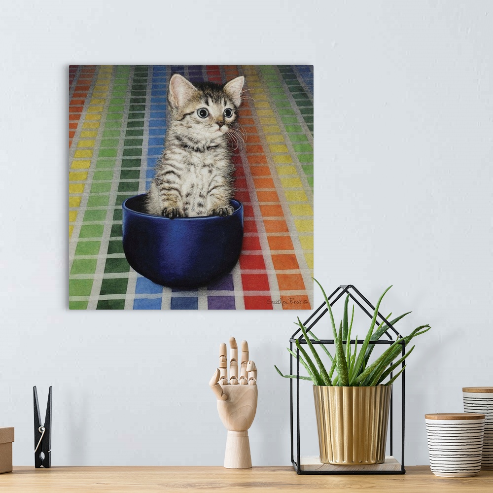 A bohemian room featuring A curious kitten sitting in a small bowl against a colorful tiled background.