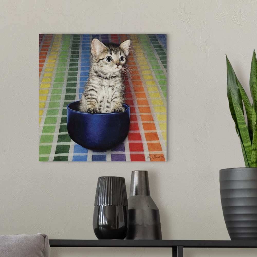 A modern room featuring A curious kitten sitting in a small bowl against a colorful tiled background.