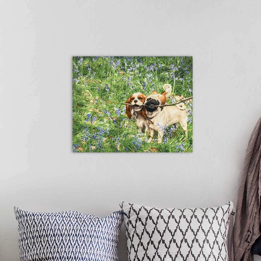A bohemian room featuring A cute image of two dogs sharing a stick in a field of wild flowers.