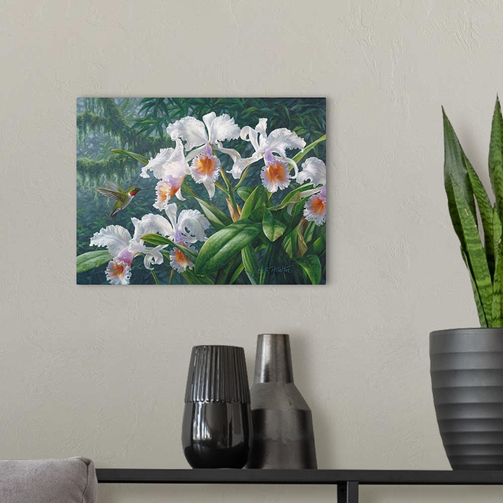 A modern room featuring The Canadian Ambassador - Ruby Throated Hummingbird And Cattleya Orchids