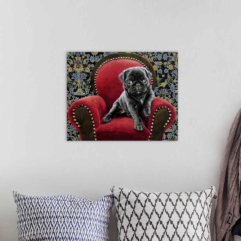 A bohemian room featuring Image of a black pug puppy sitting on a red velvet chair.