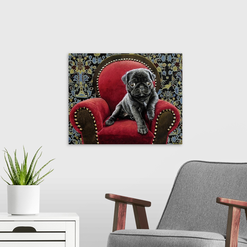 A modern room featuring Image of a black pug puppy sitting on a red velvet chair.
