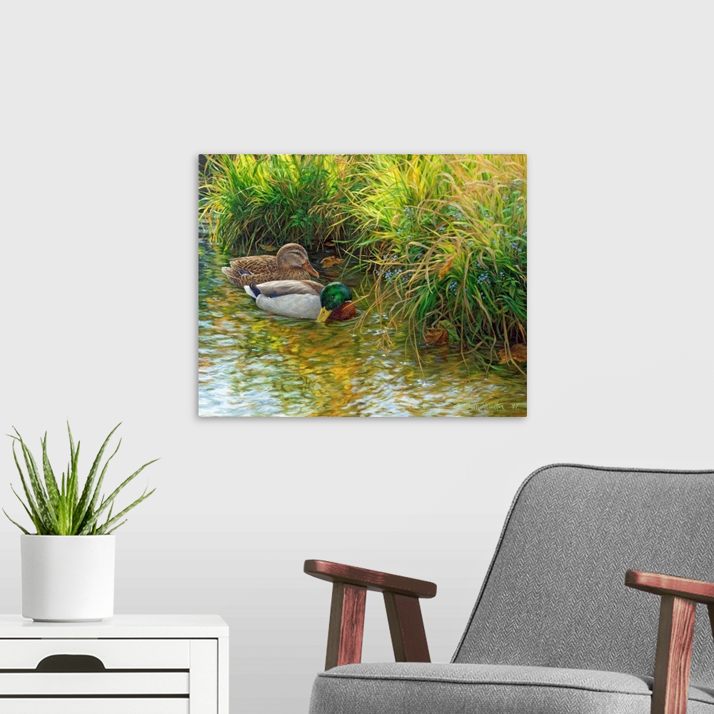A modern room featuring Tranquil Waters - Mallard Ducks