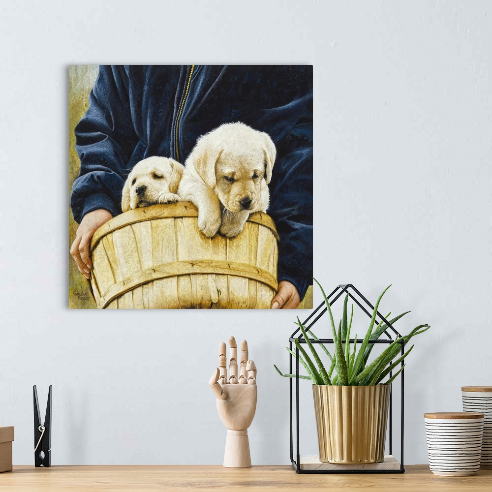 A bohemian room featuring Square image of a person carrying a basket with two lab puppies.