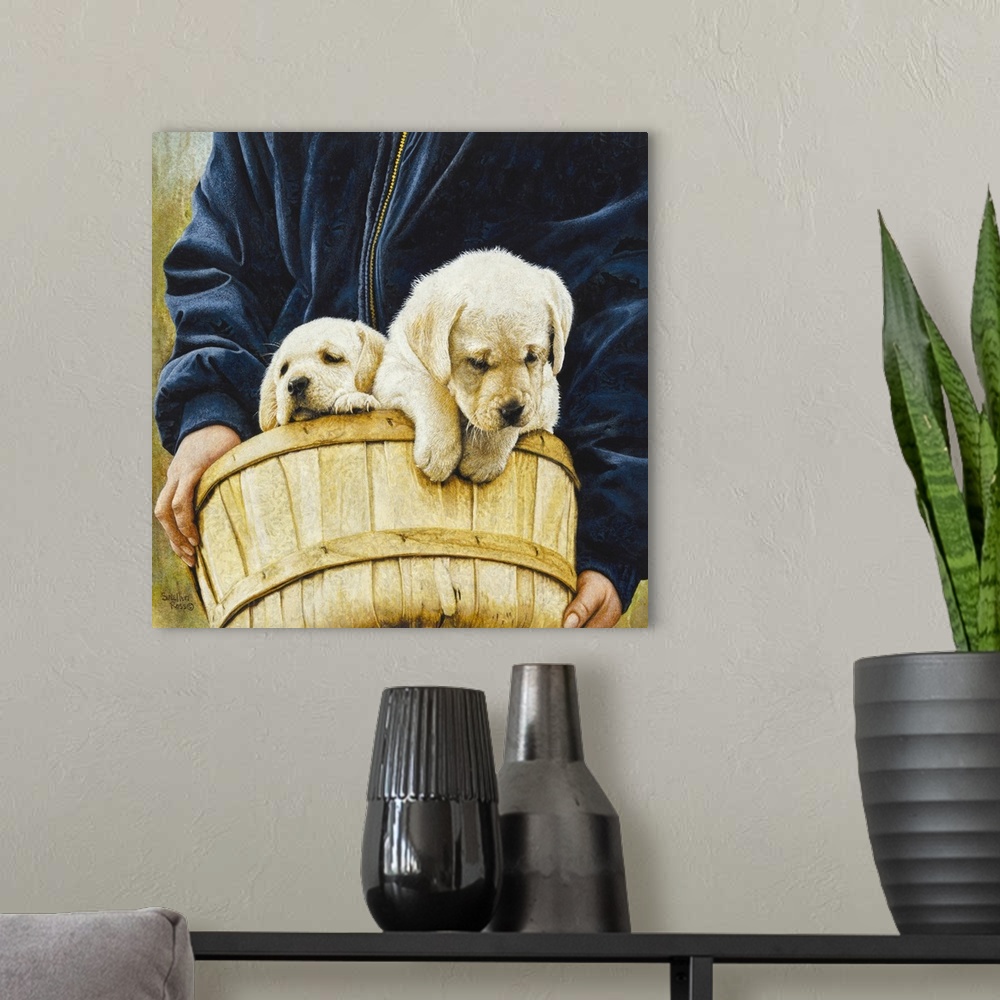 A modern room featuring Square image of a person carrying a basket with two lab puppies.