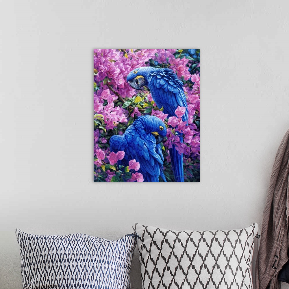 A bohemian room featuring Tropical Fiesta - Hyacinth Macaws And Bougainvillea