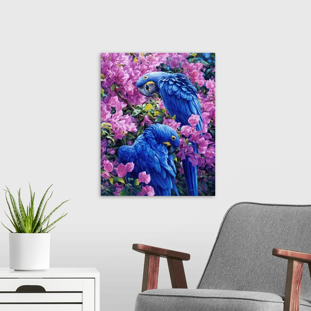 A modern room featuring Tropical Fiesta - Hyacinth Macaws And Bougainvillea