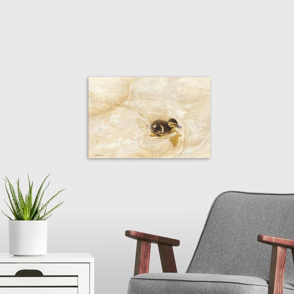 A modern room featuring A horizontal image of a duckling swimming in water.