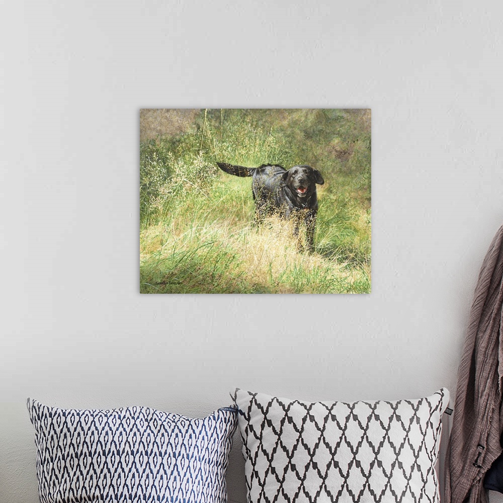 A bohemian room featuring A lively black lab playing in a field.