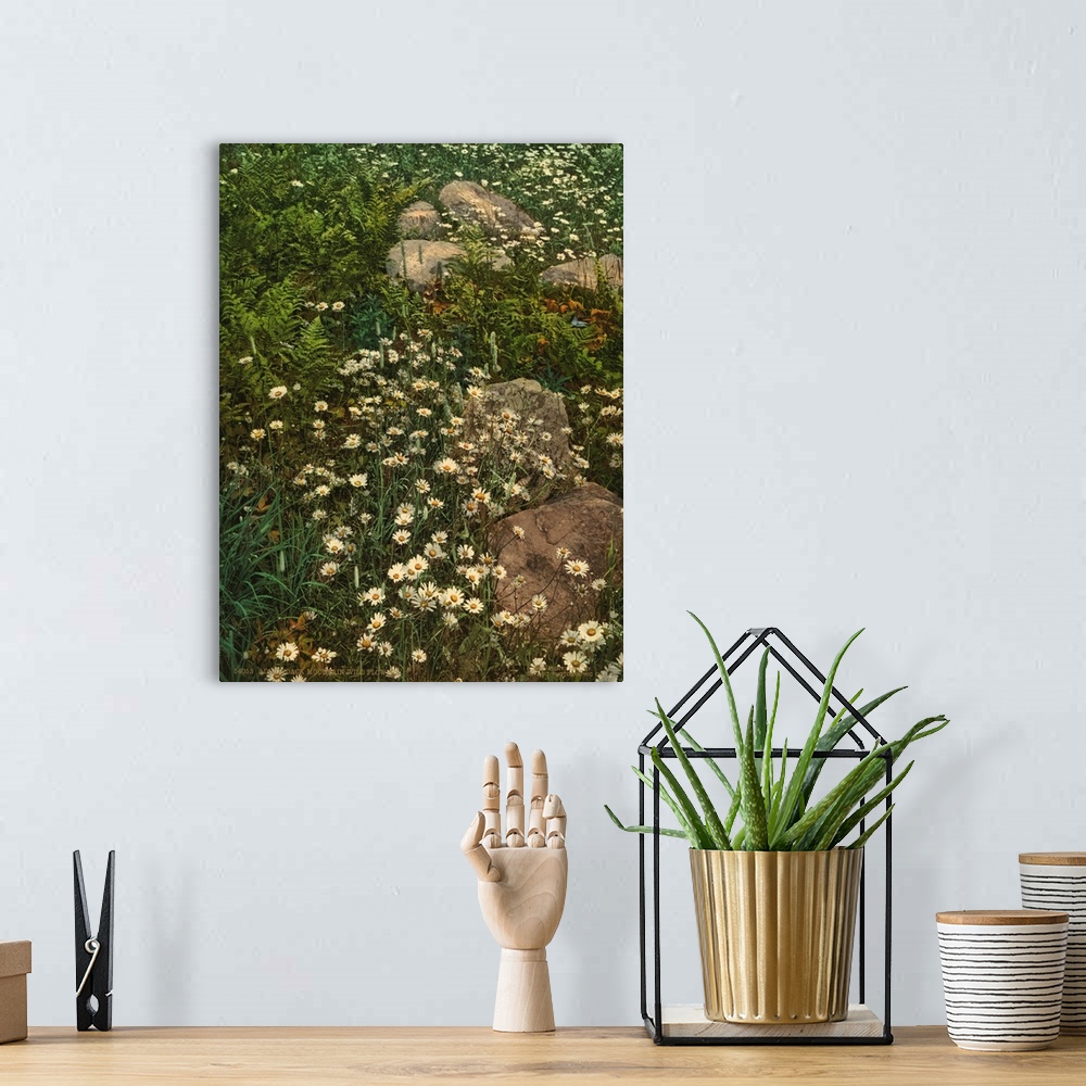 A bohemian room featuring Hand colored photograph of Adirondack Mountain and wildflowers.