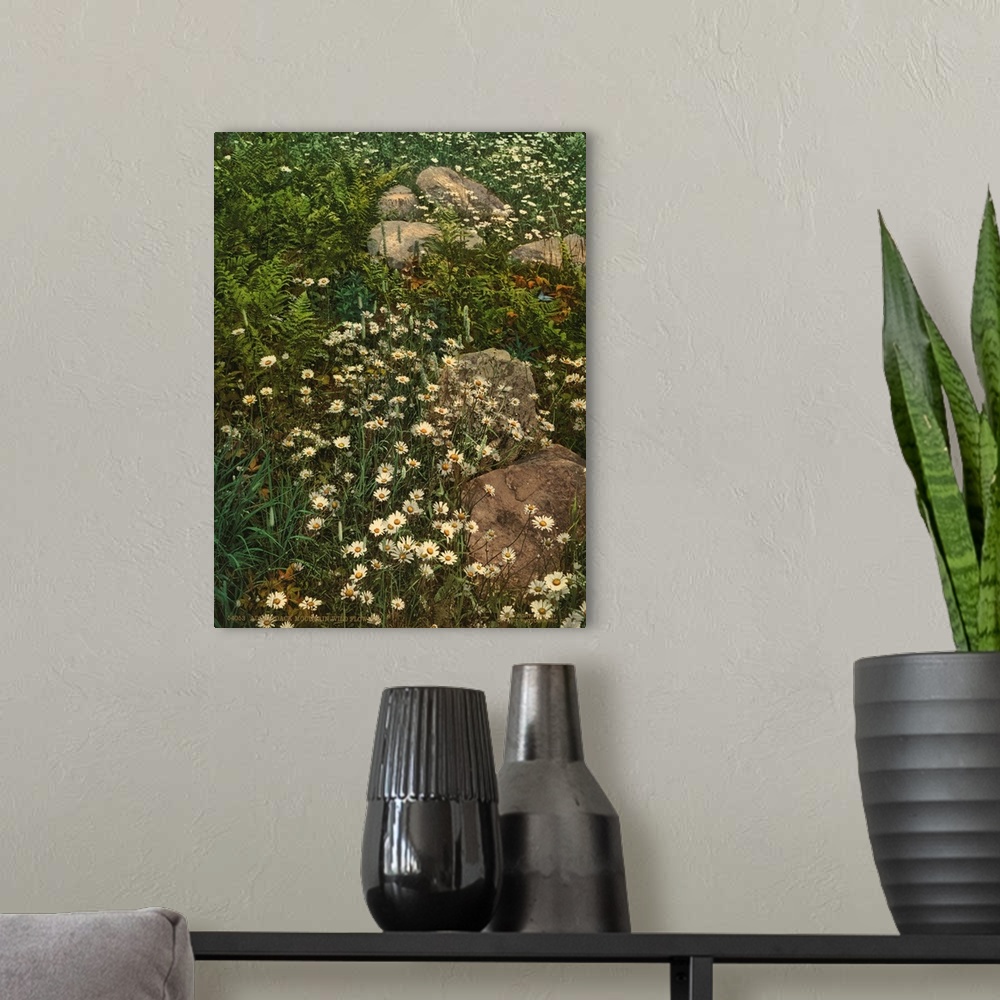 A modern room featuring Hand colored photograph of Adirondack Mountain and wildflowers.