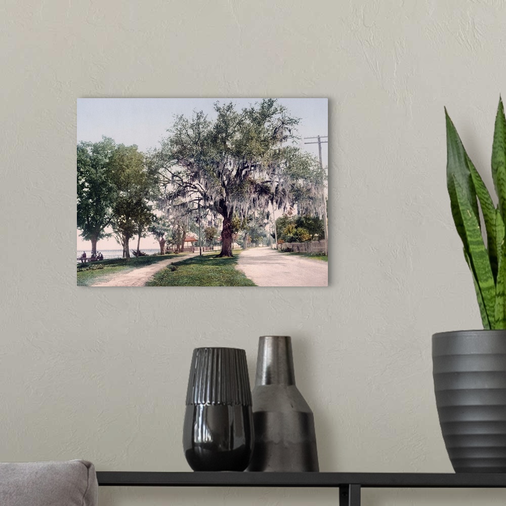 A modern room featuring Along the Bay Bay St. Louis Mississippi Vintage Photograph
