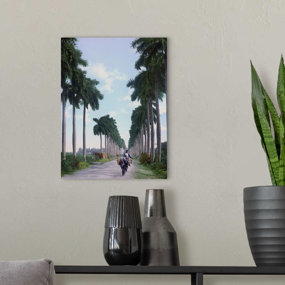 A modern room featuring Avenue of Palms Havana