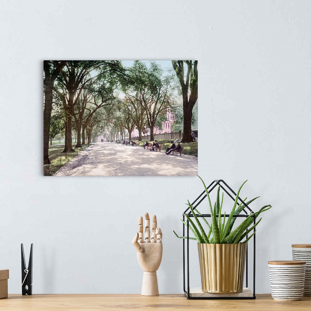 A bohemian room featuring Antiqued photograph on canvas of a park in Boston lined with trees along a path with people sitti...