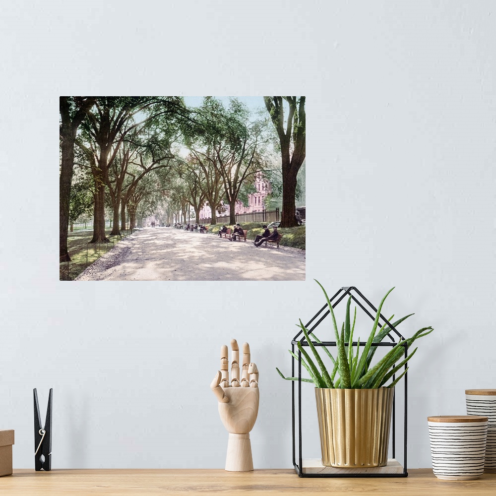 A bohemian room featuring Antiqued photograph on canvas of a park in Boston lined with trees along a path with people sitti...