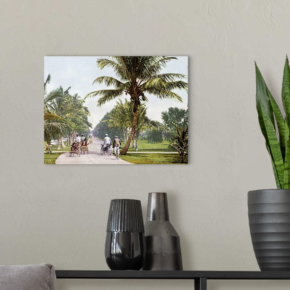 A modern room featuring Vintage photograph taken as people bicycle down a walking path that is lined with short palm trees.