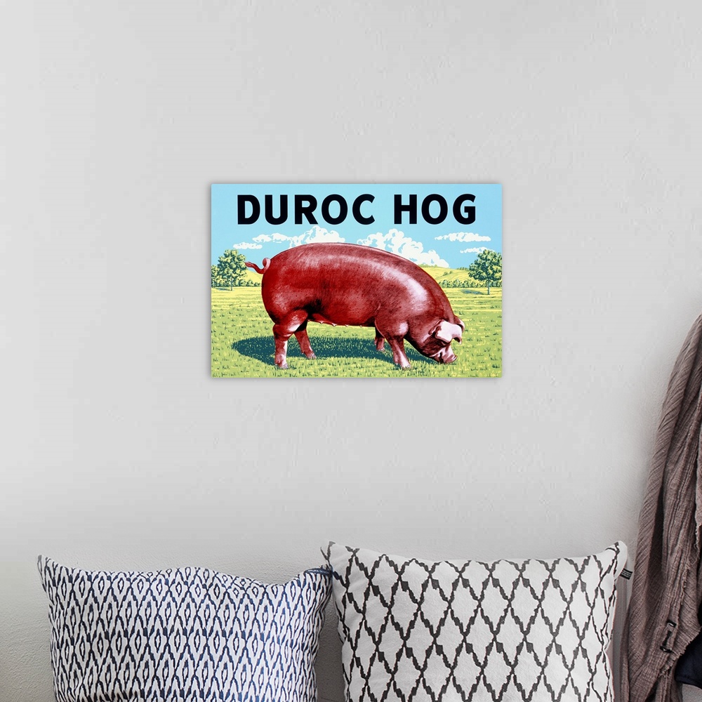 A bohemian room featuring Old poster advertising a popular American pig breed.  It has a big red pig eating grass from a pa...