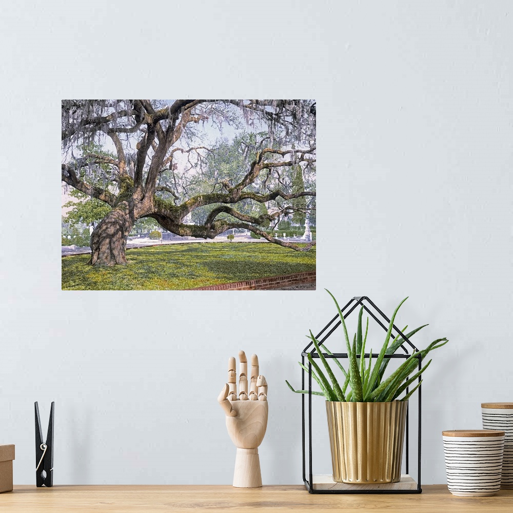 A bohemian room featuring Photograph of huge tree with several large branches that is leaning to its right side.  There are...