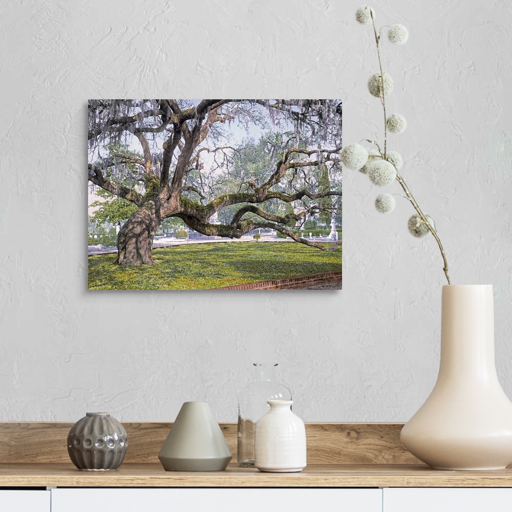 A farmhouse room featuring Photograph of huge tree with several large branches that is leaning to its right side.  There are...