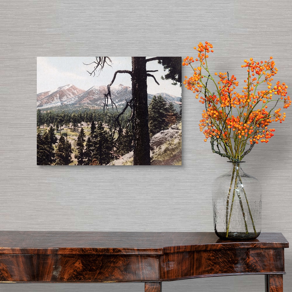 A traditional room featuring San Francisco Mountains Arizona Vintage Photograph